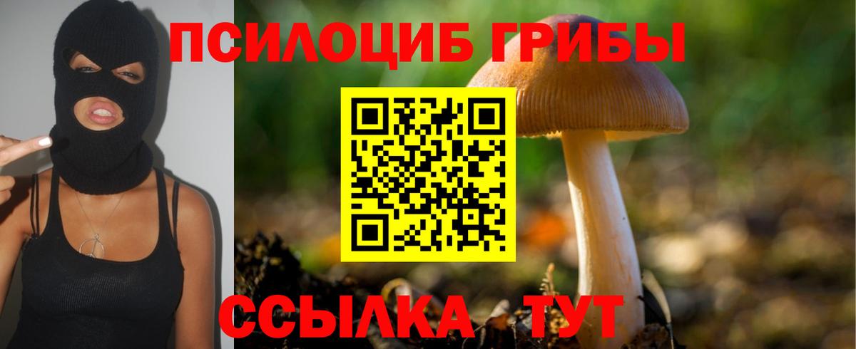 Псилоцибиновые грибы мицелий  Псилоцибиновые грибы мицелий  Вход с VPN  Белебей 
